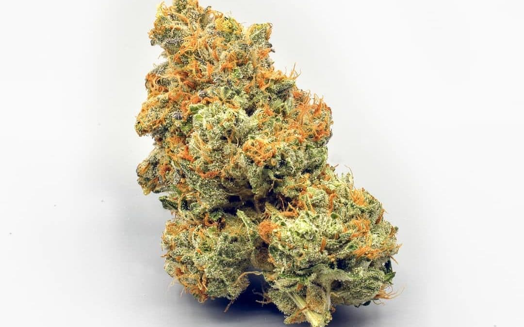 CBD Blüten Bestellen – Sichern Sie sich die besten Blüten zu unschlagbaren Preisen