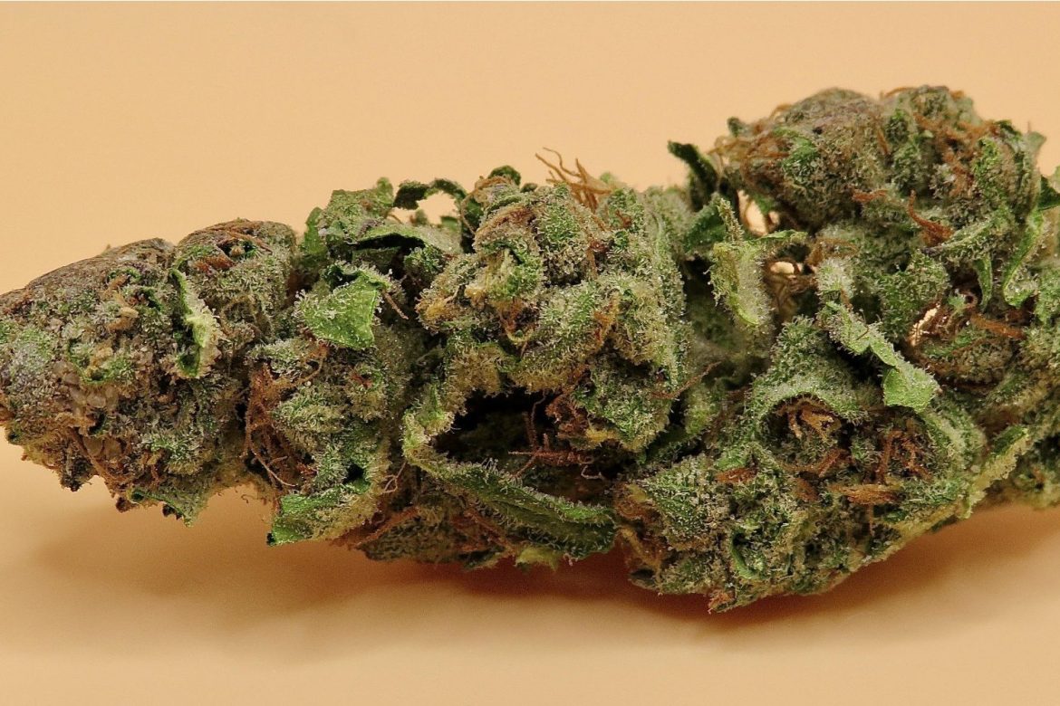 CBD Blüten Bestellen – Sichern Sie sich die besten Blüten zu unschlagbaren Preisen